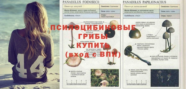 прущая мука Наволоки