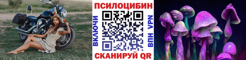 нарко площадка формула  Усть-Лабинск  Галлюциногенные грибы Magic Shrooms 