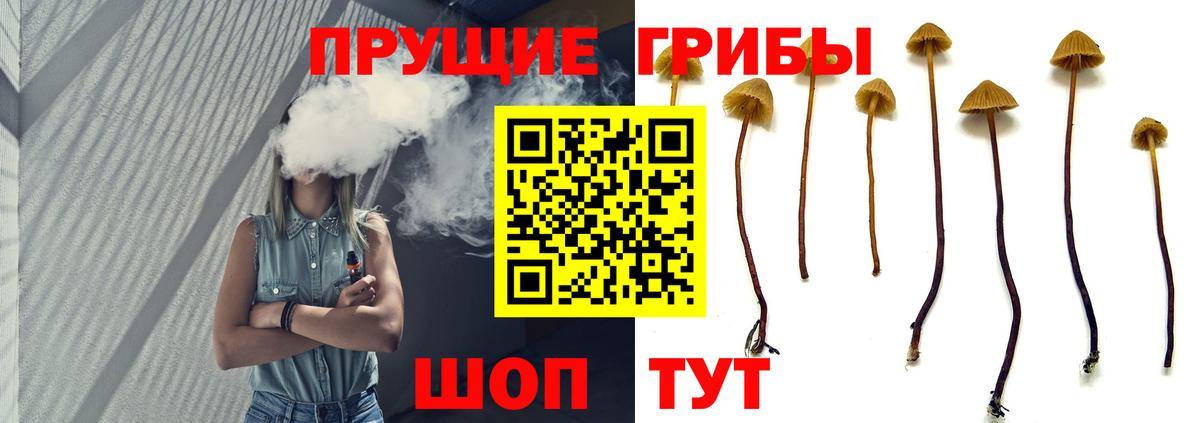 Псилоцибиновые грибы MAGIC MUSHROOMS  Галлюциногенные грибы мухоморы  Вход с VPN  Усть-Лабинск 